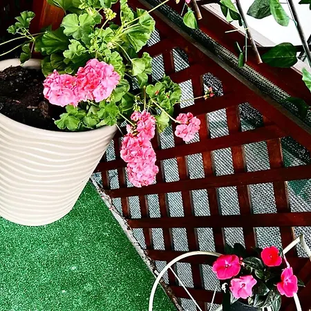 Marina Bay Boutique Hotel Mamaia