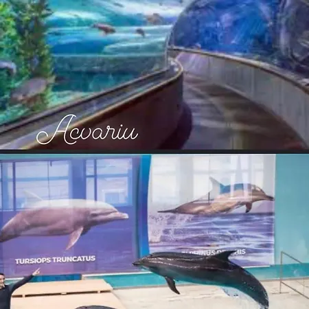 Hotel Marina Bay Boutique